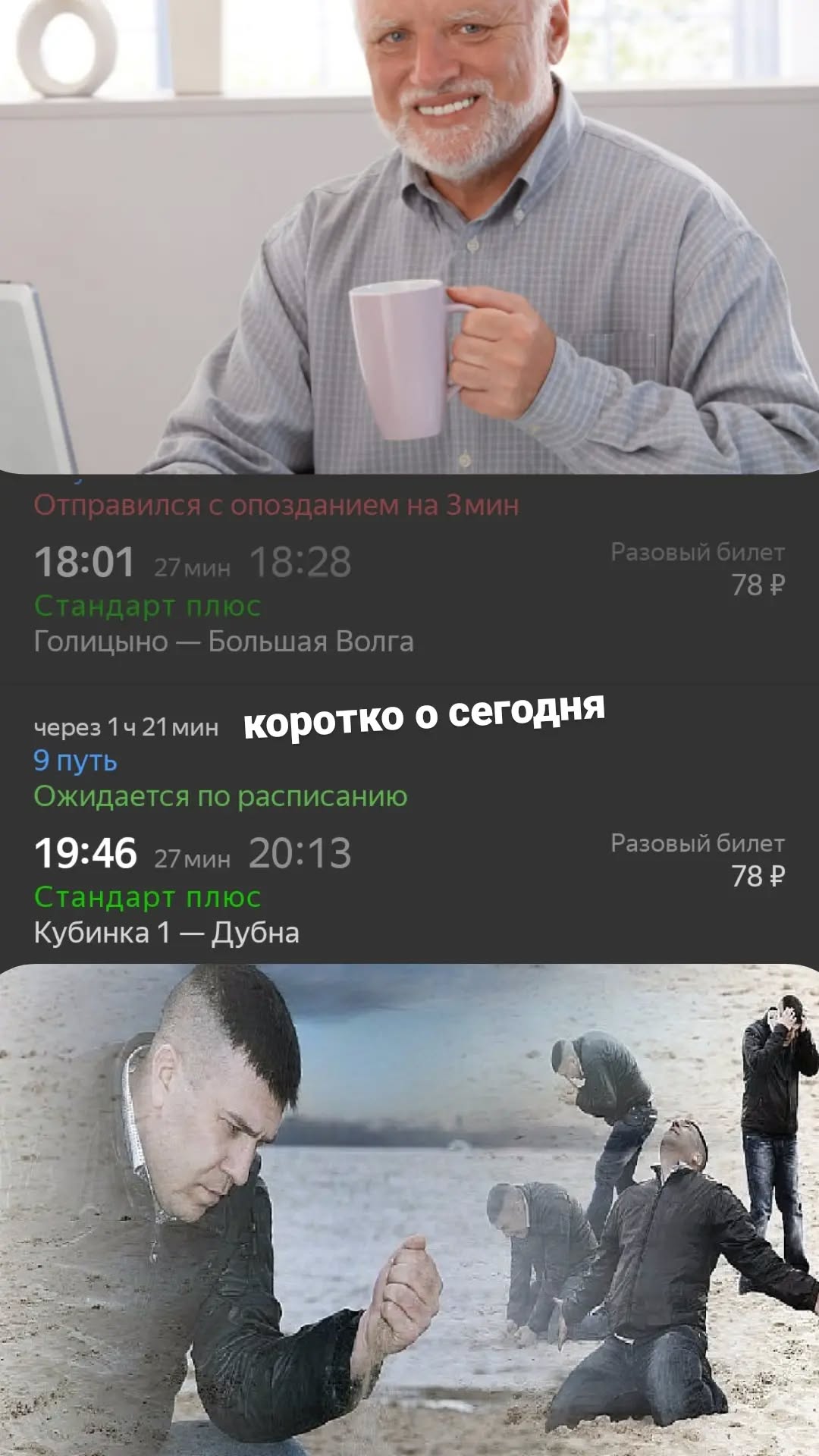 17905313975225555.webp