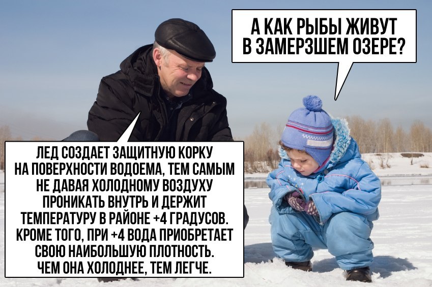 vk-photo-63337812-456253979-3.jpg