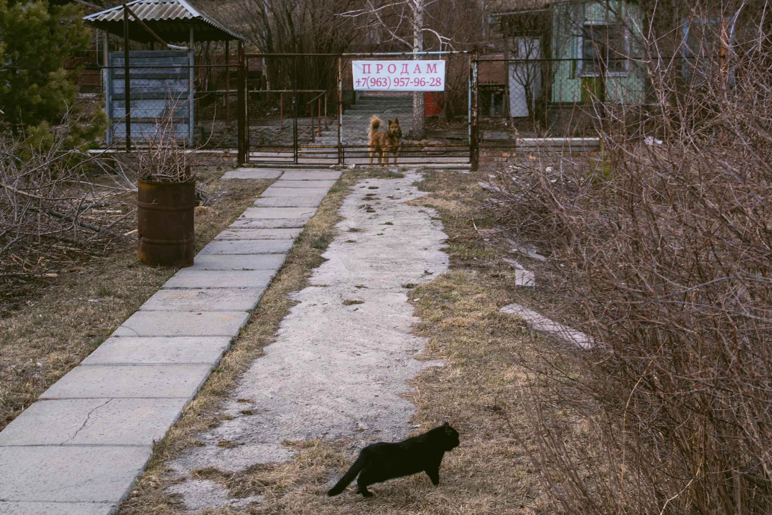 vk-photo-126366187-456248388-2.jpg