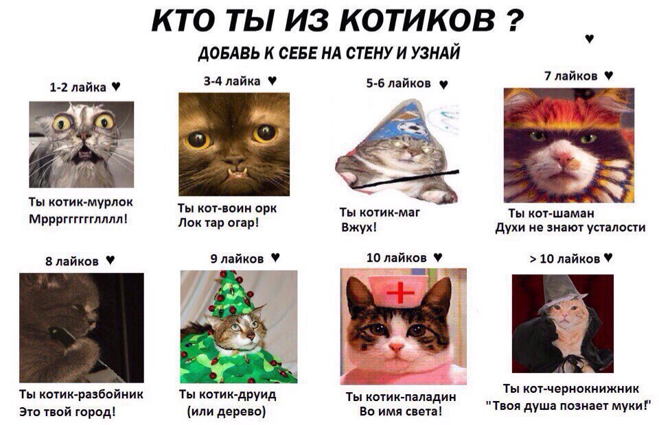 vk-photo-126366187-456239486-3.jpg