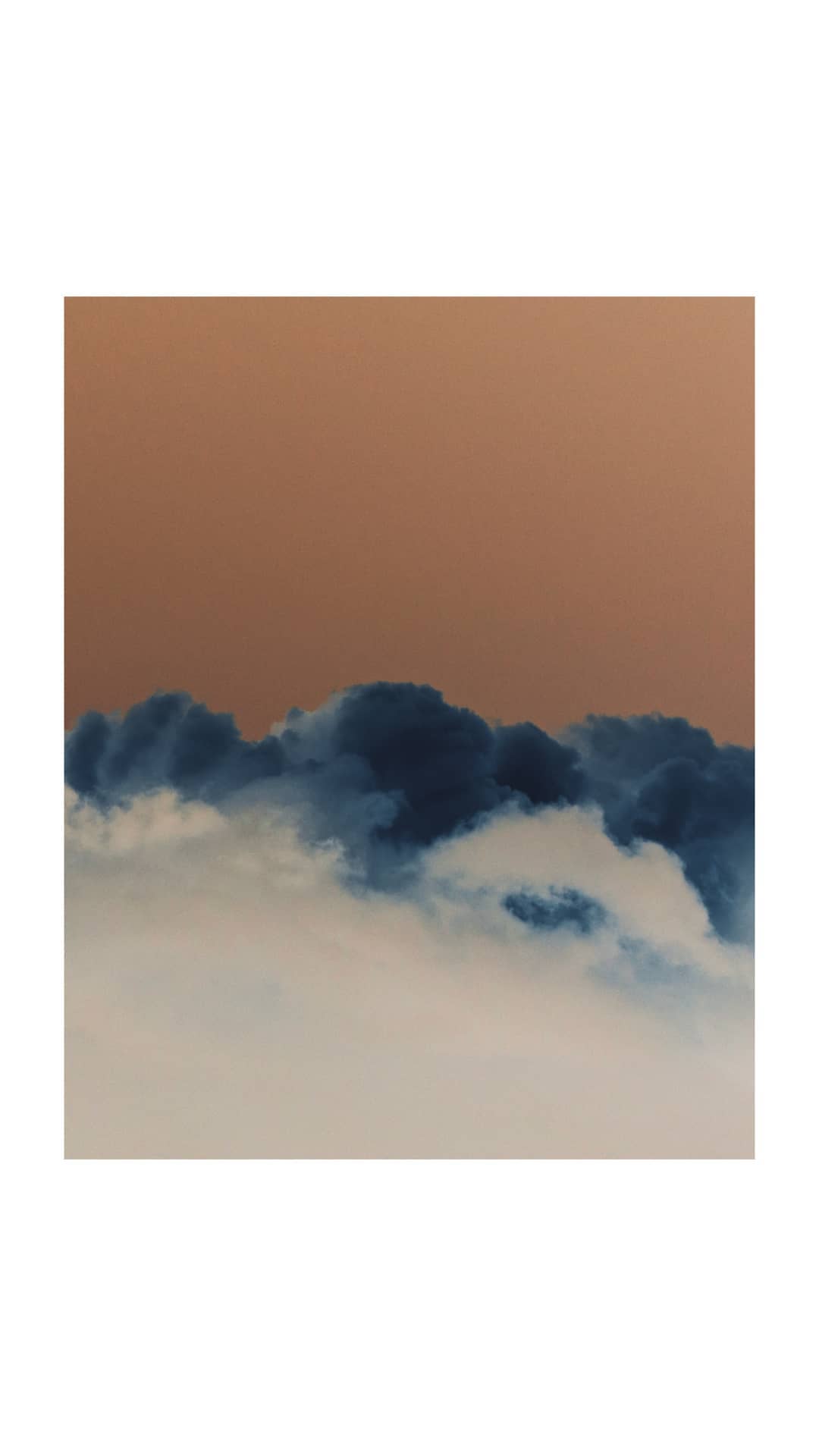 17869741162367884.jpg