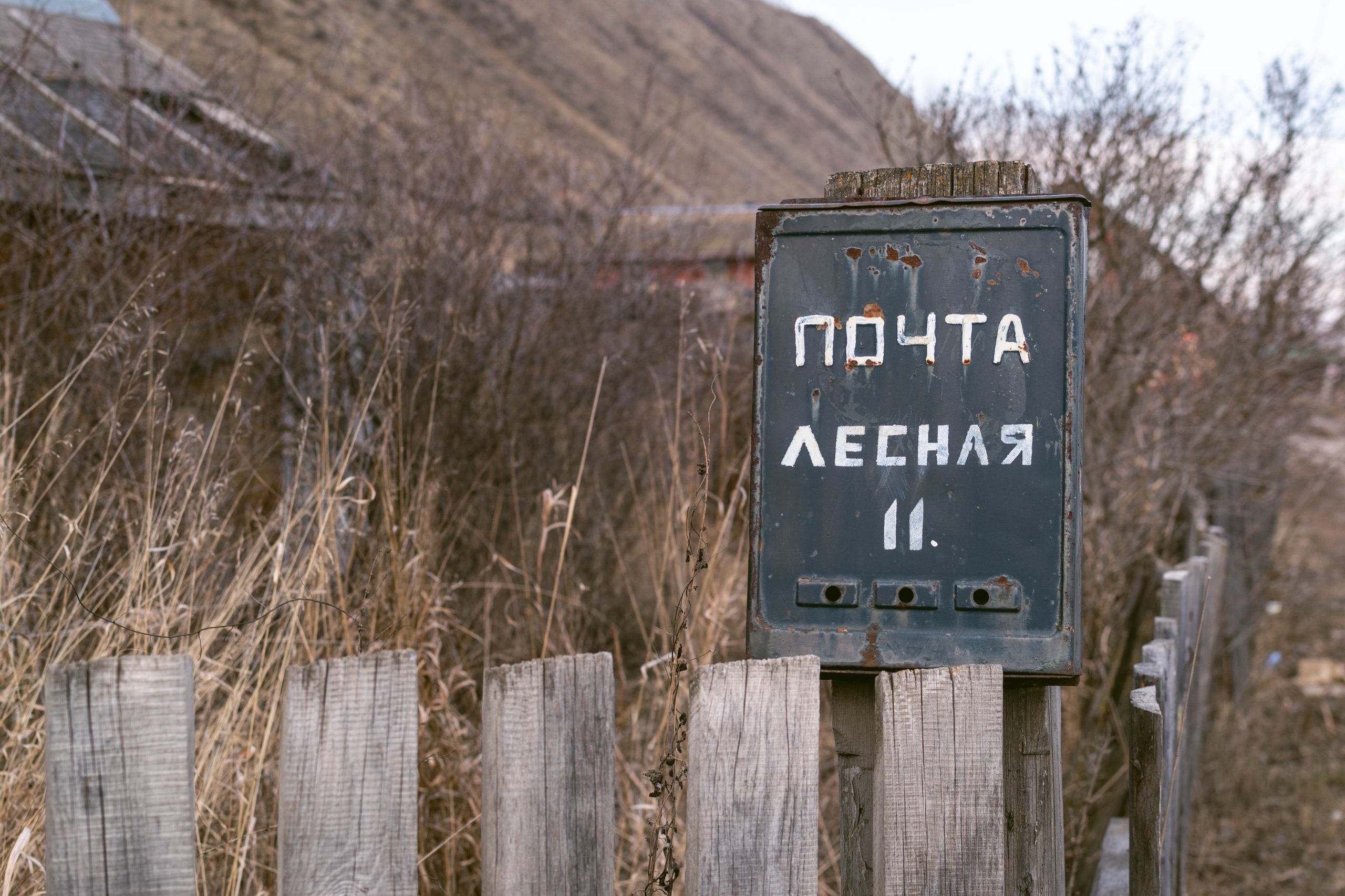 vk-photo-126366187-456248387-2.jpg