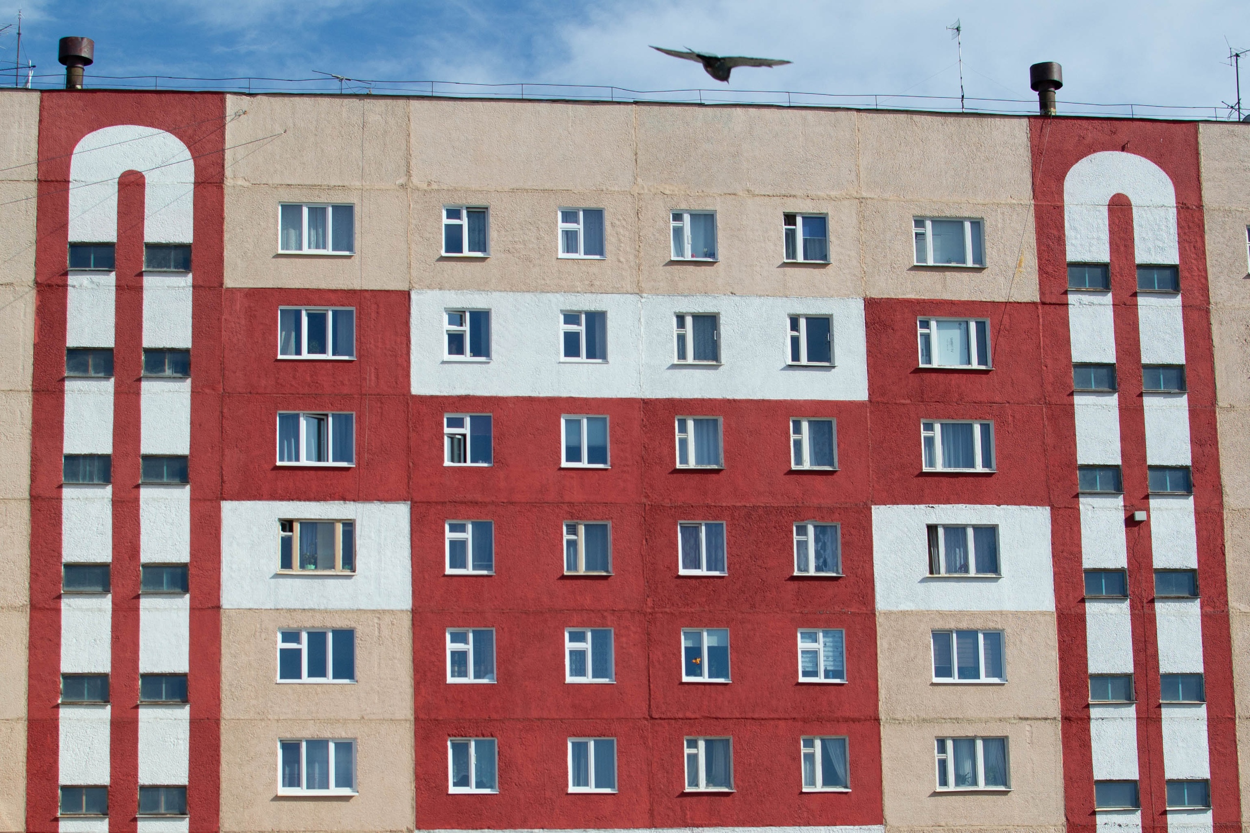 vk-photo-126366187-456247569-3.jpg