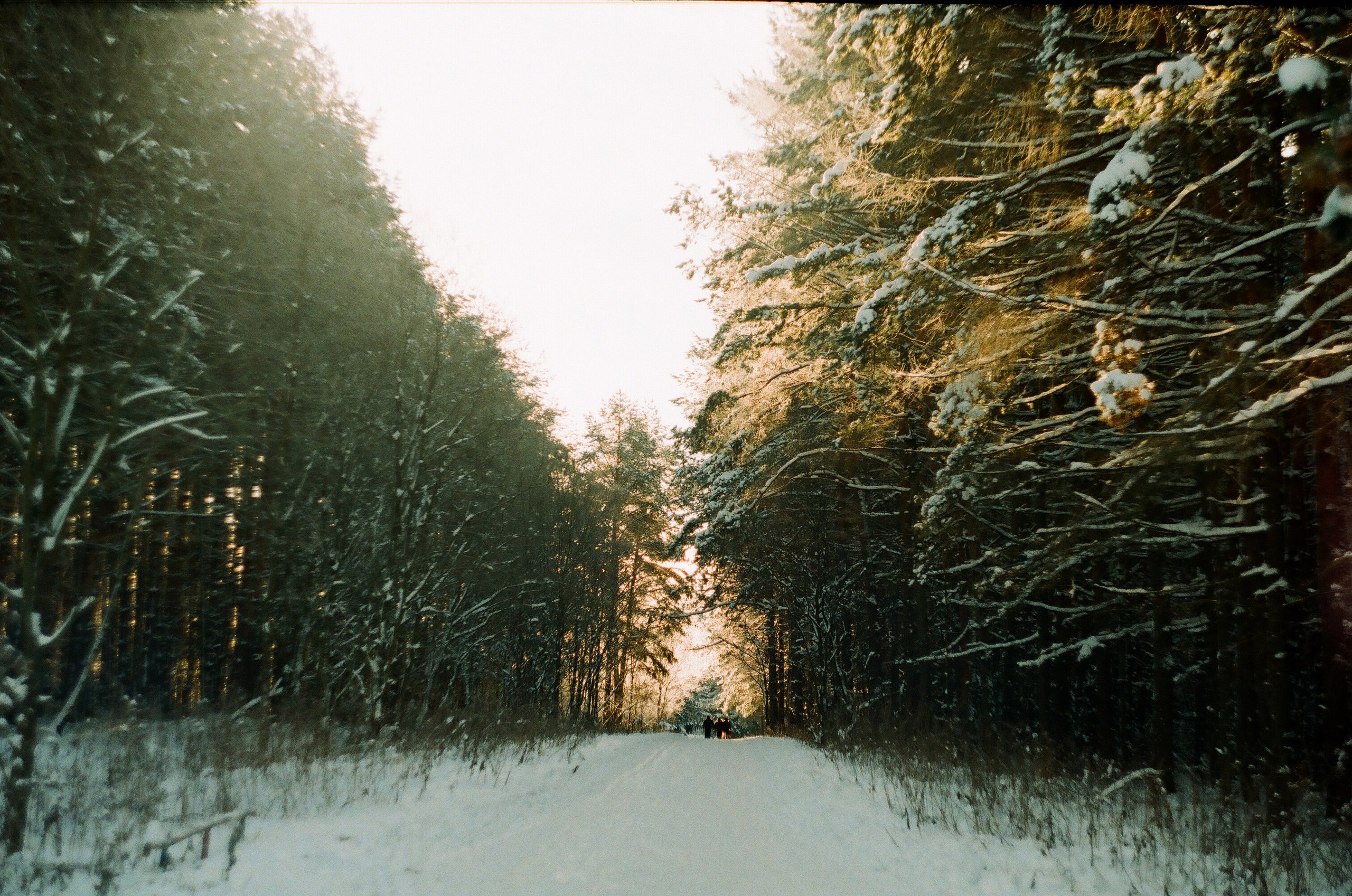 vk-album-97980111-248352762-3.jpg