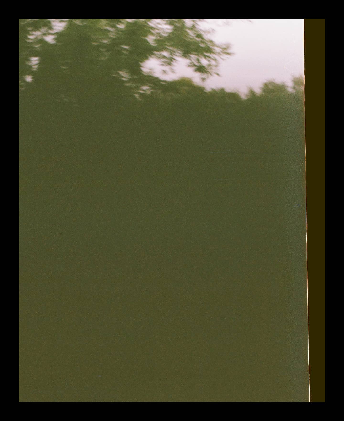 17876342818842326.jpg