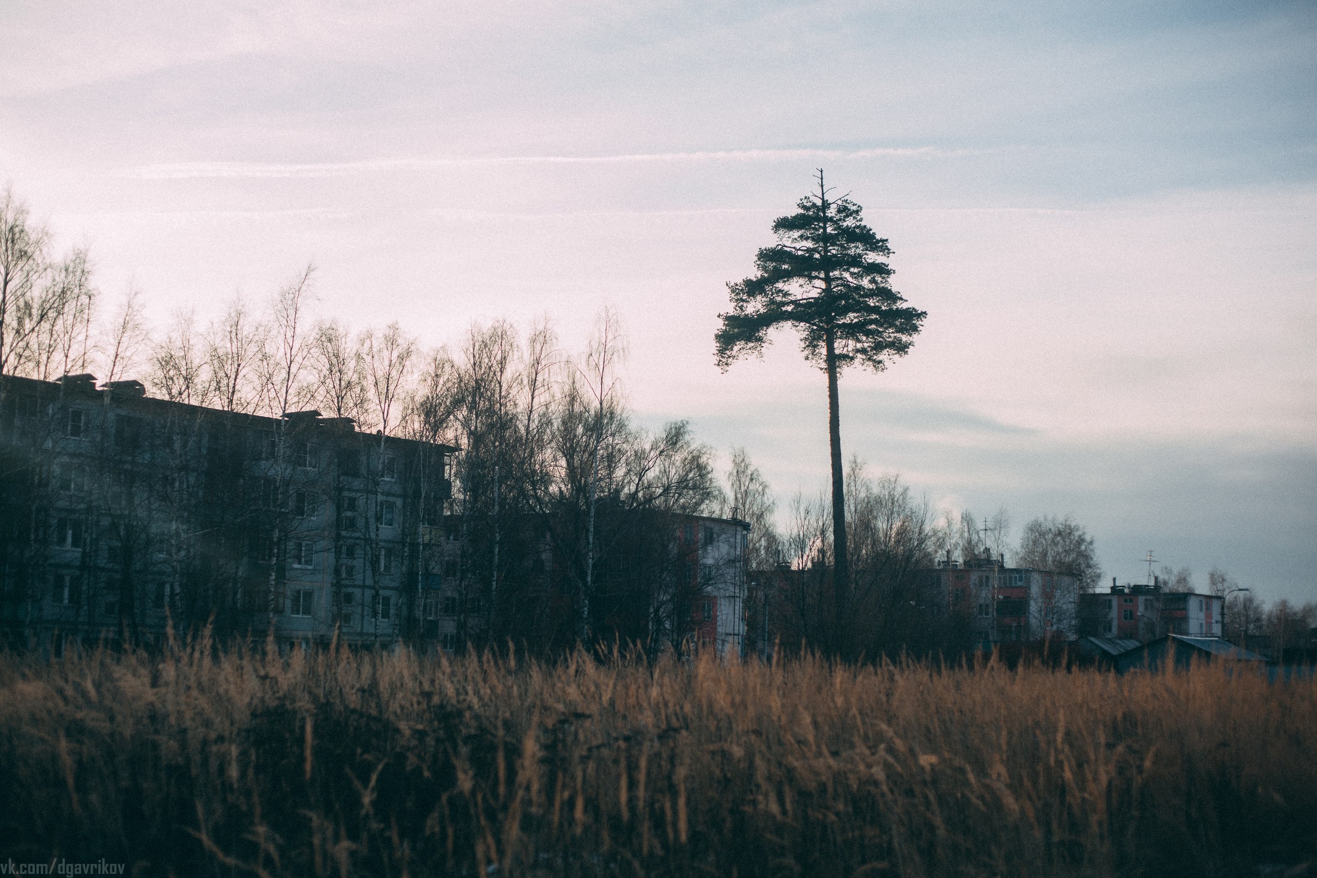 vk-album-97980111-248419714-3.jpg