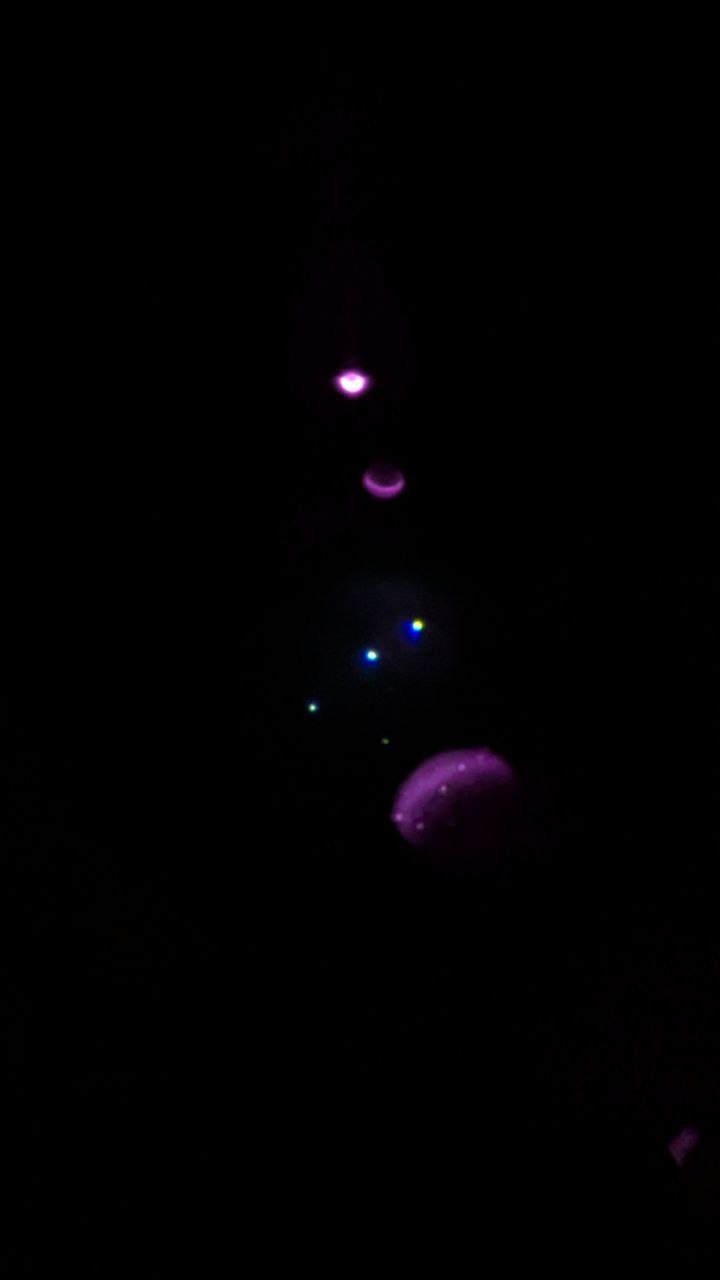 tg-351-photo_112-15-02-2026_00-36-19.jpg