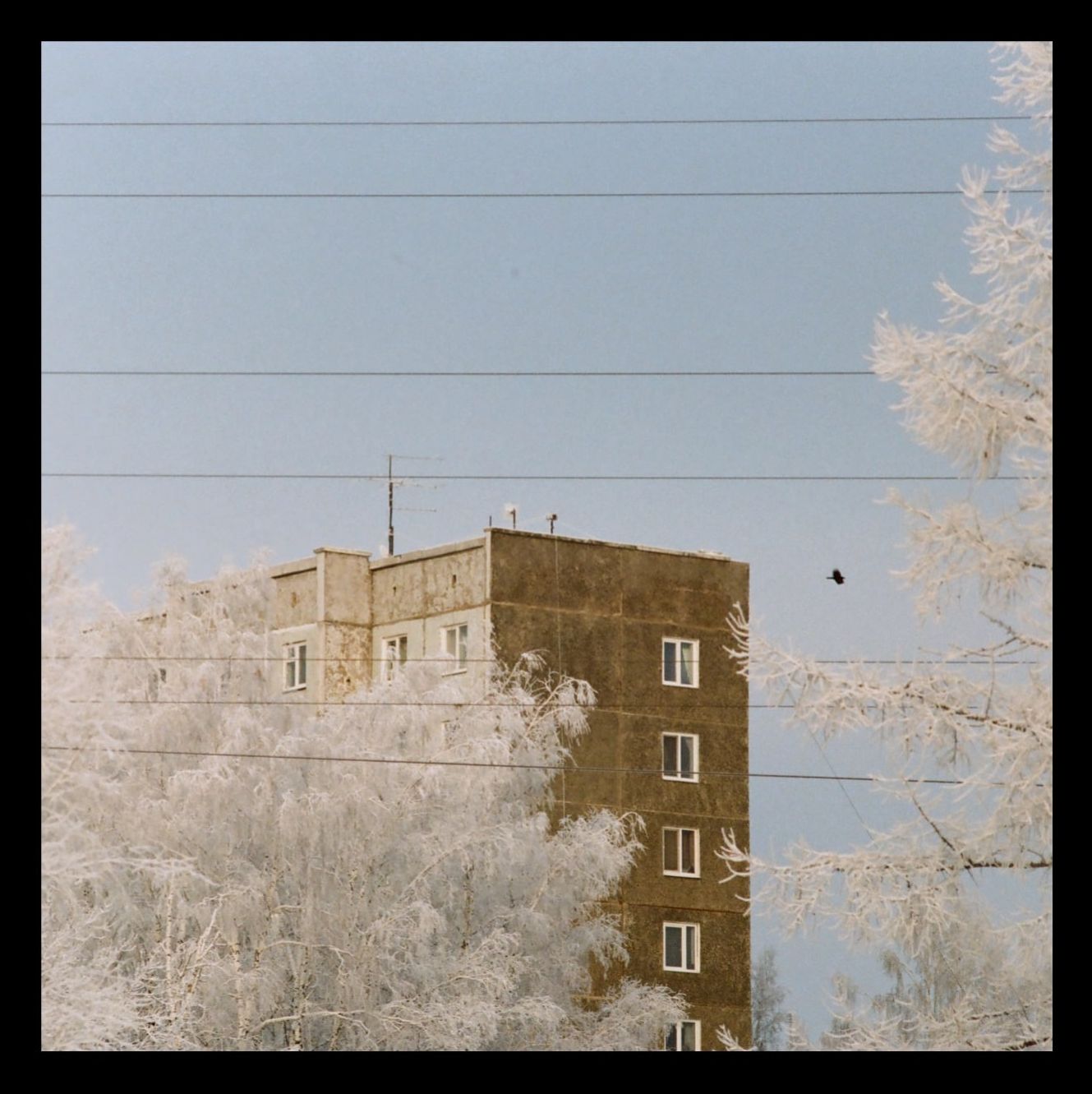 vk-photo-27725025-457453746-3.jpg