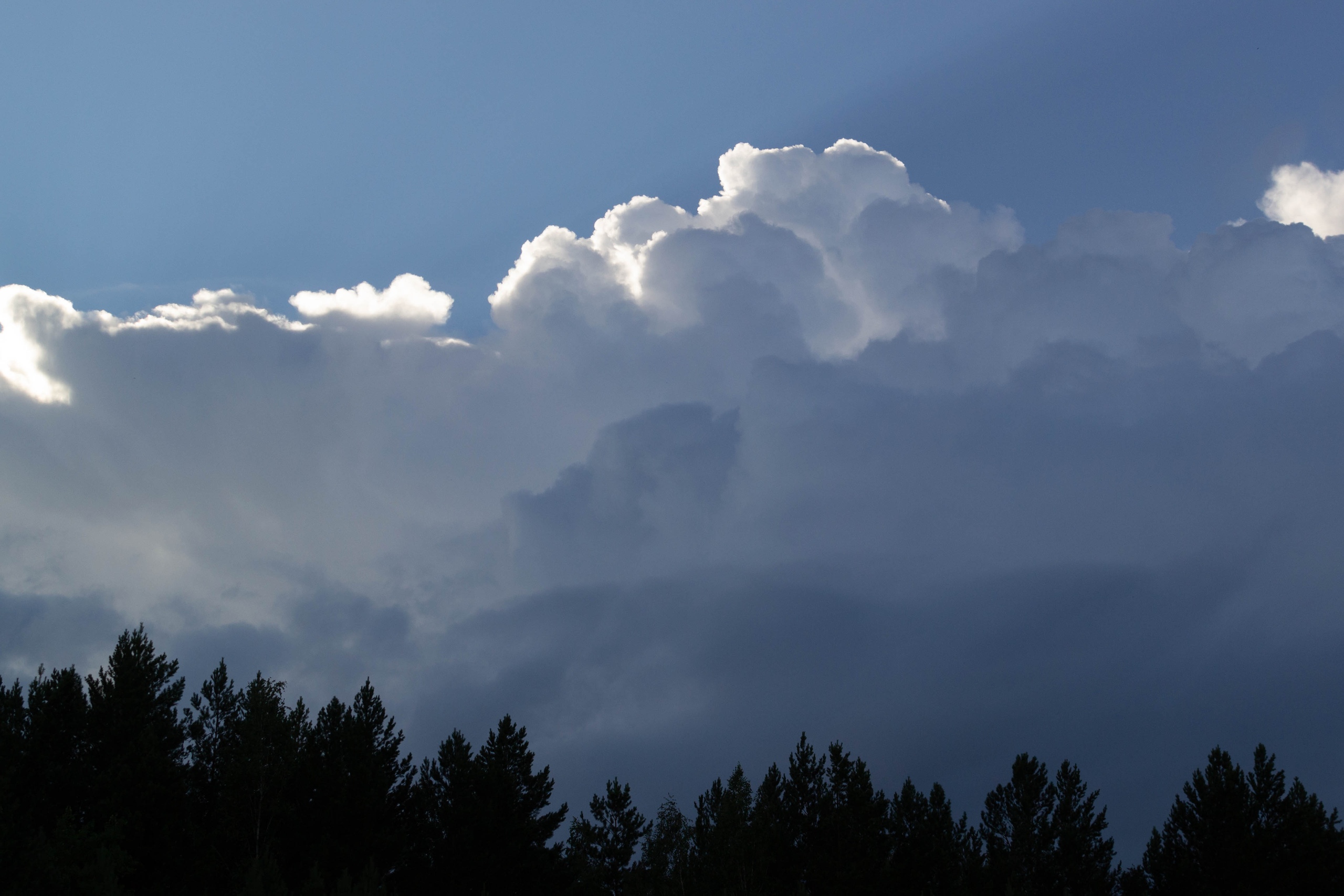 vk-photo-126366187-456244178-3.jpg