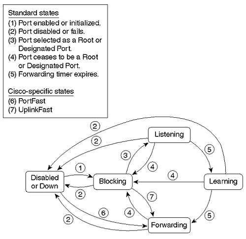 stp-finite-state-machine.png