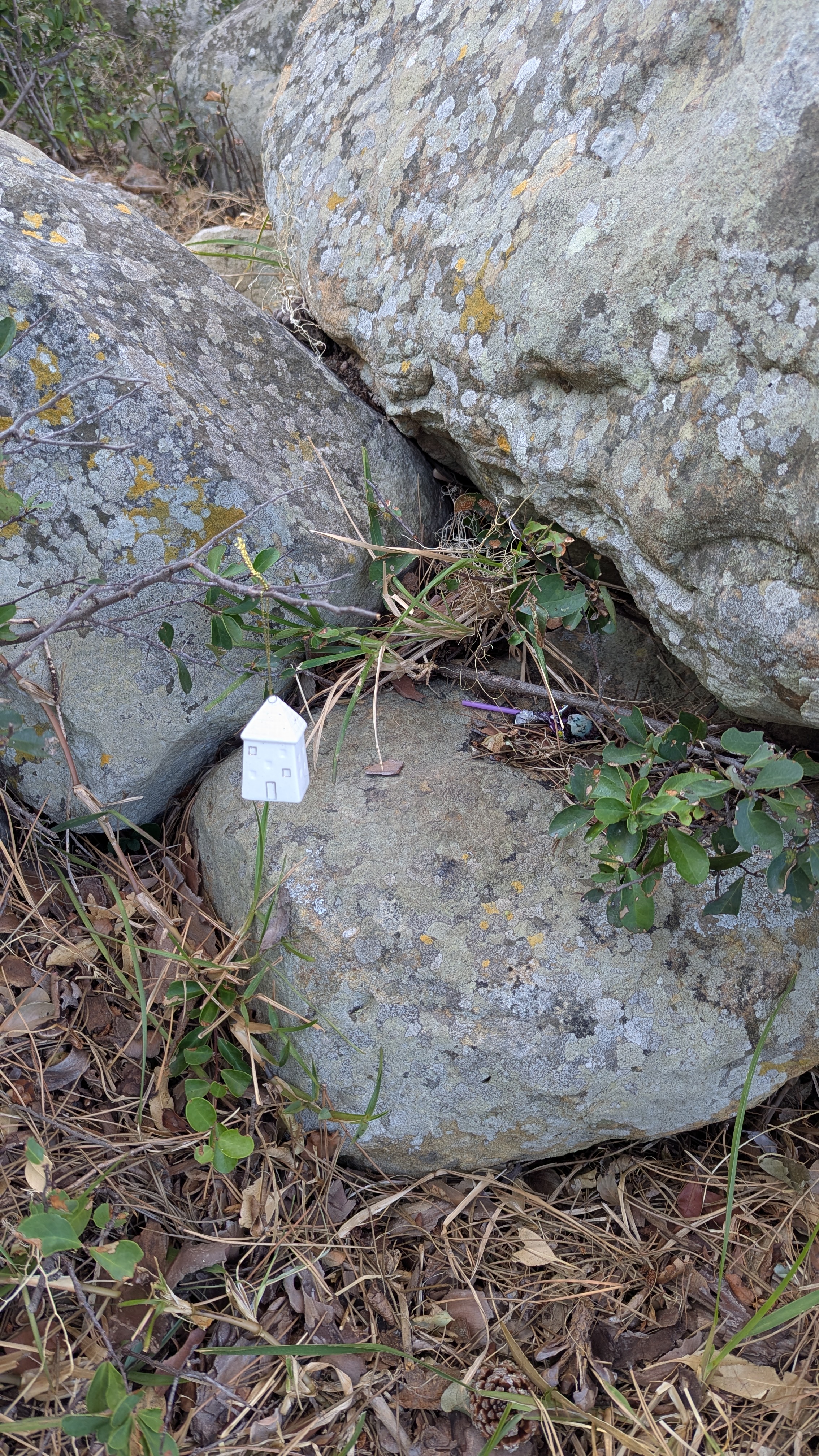 Attachment-2026-01-14_7.jpg