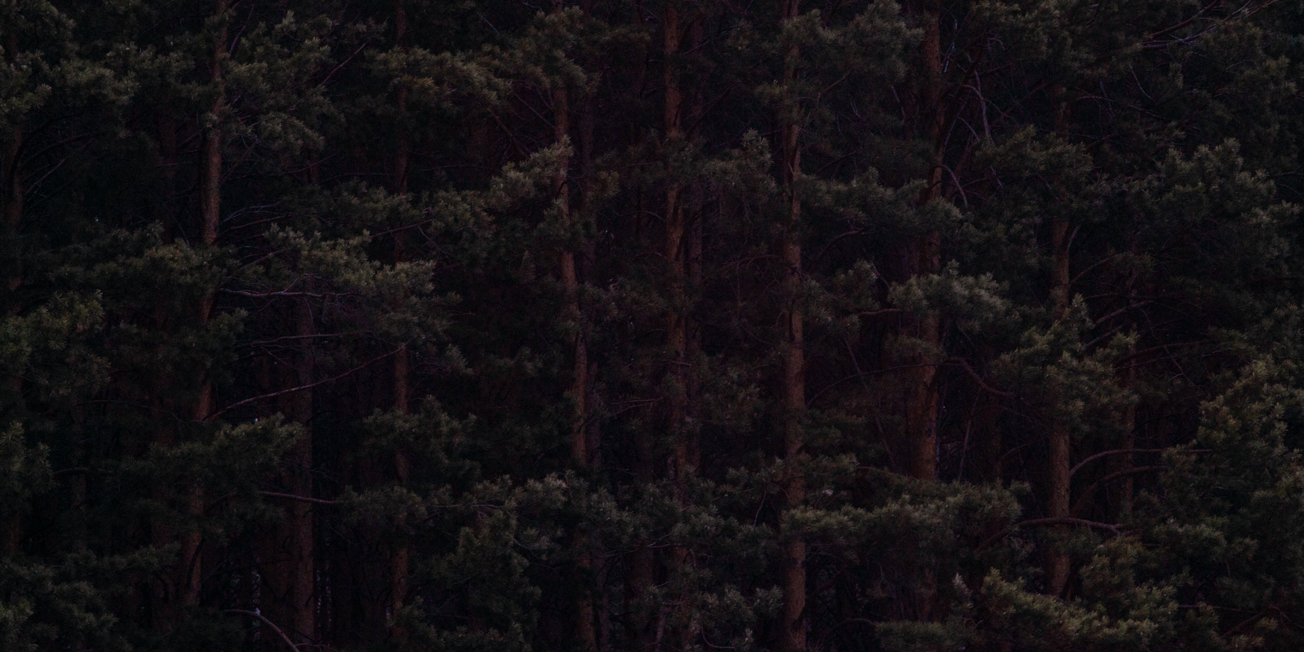 vk-photo-180493354-456239031-2.jpg