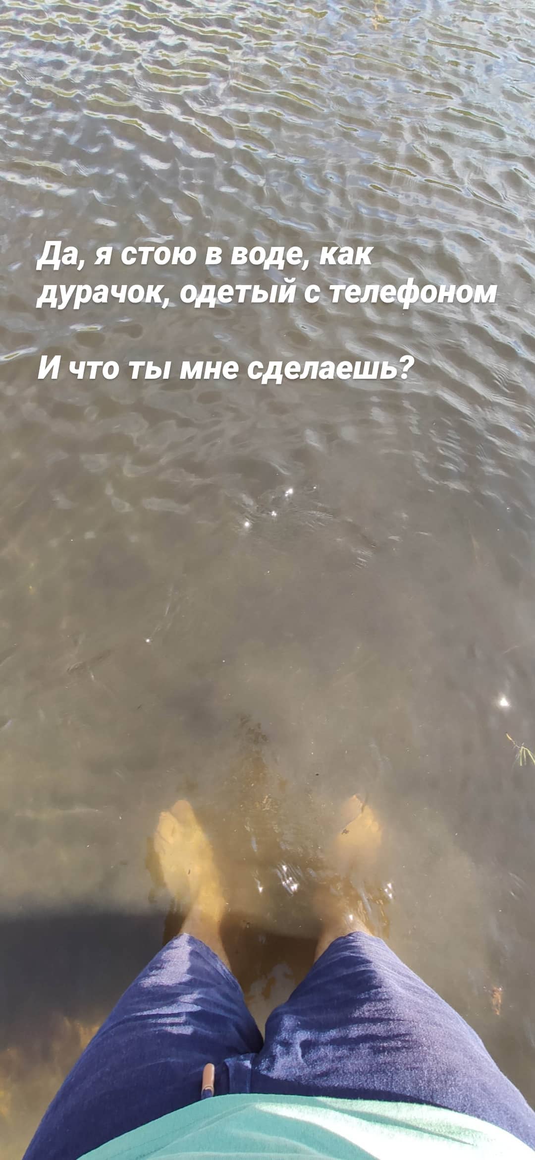17890809715596273.jpg