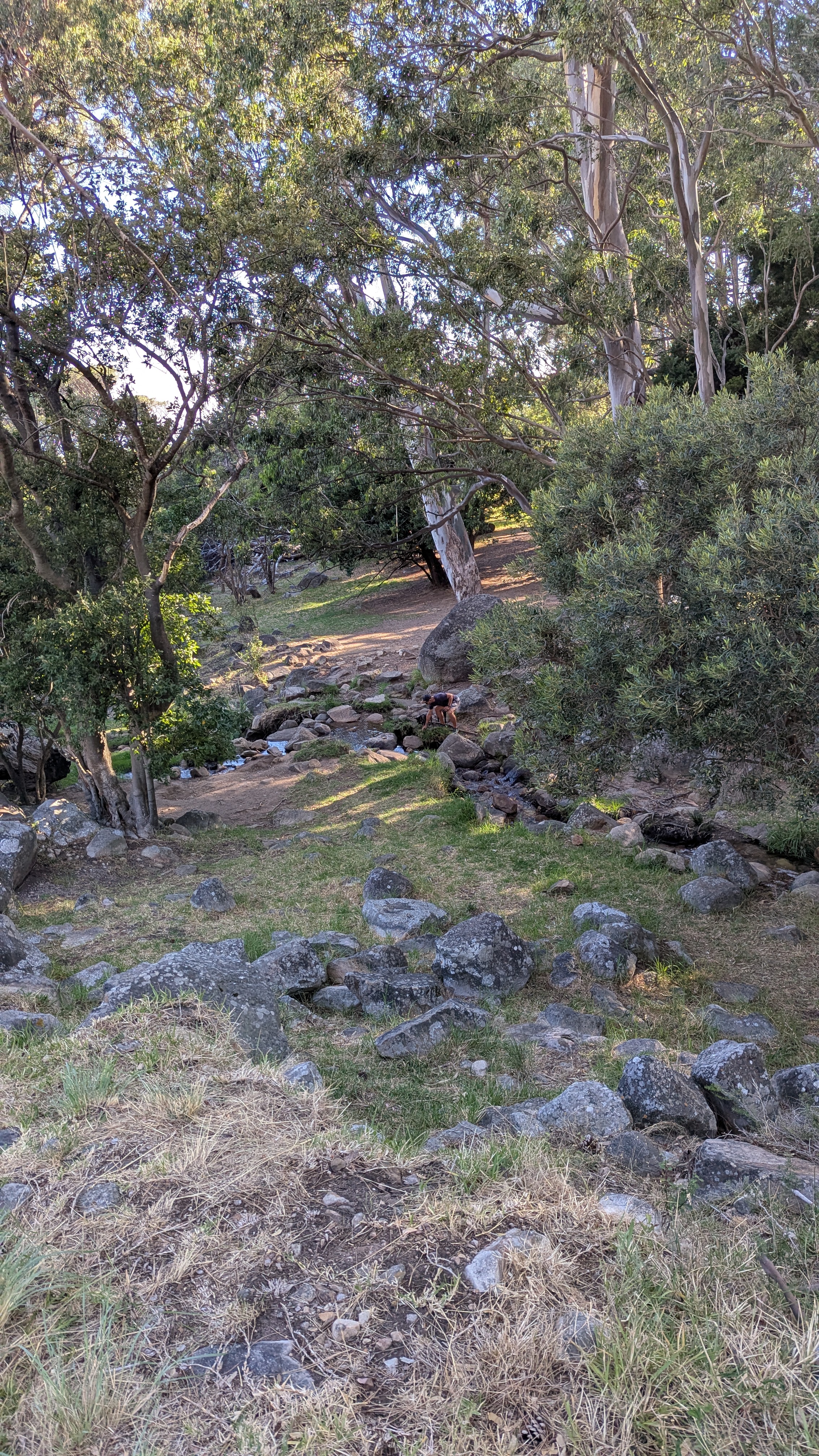 Attachment-2026-01-14_6.jpg
